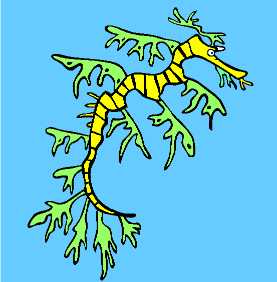 Leafy Sea Dragon Coloring Page