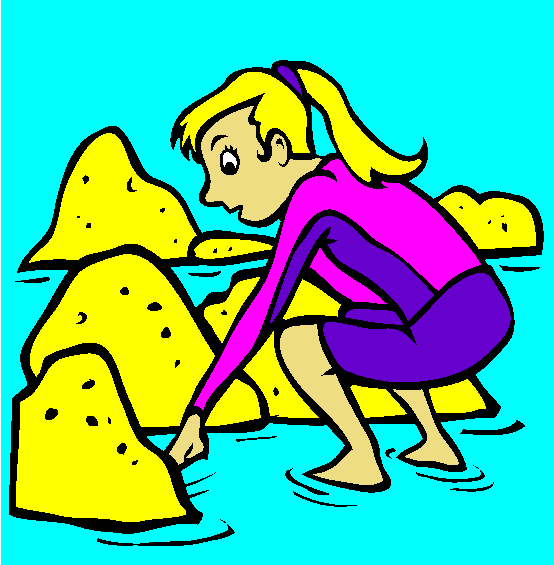 Tide Pooling Coloring Page