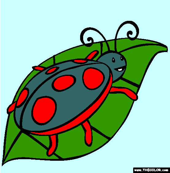 Ladybug Coloring Page