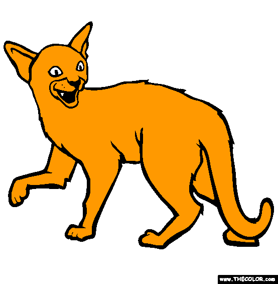 Abyssinian Cat Coloring Page