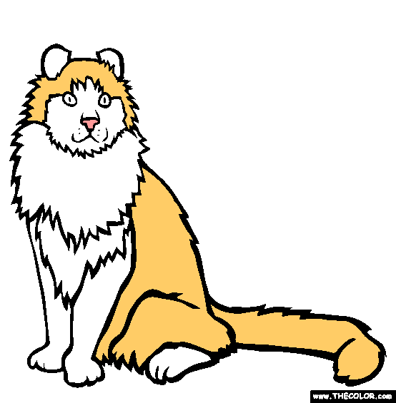 American Curl Cat Coloring Page