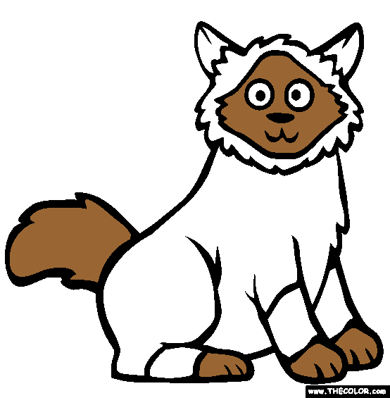 Birman Cat Online Coloring Page