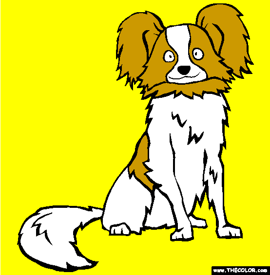 Papillon Coloring Page