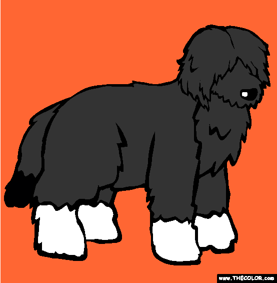 Portuguese Water Dog Coloring Page