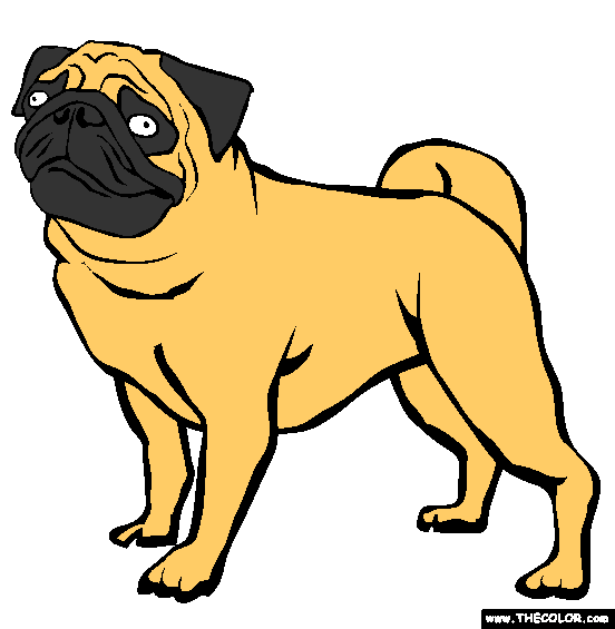 Pug Coloring Page