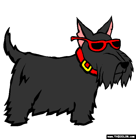 Scottish Terrier Coloring Page