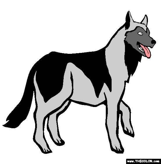 Siberian Husky Coloring Page