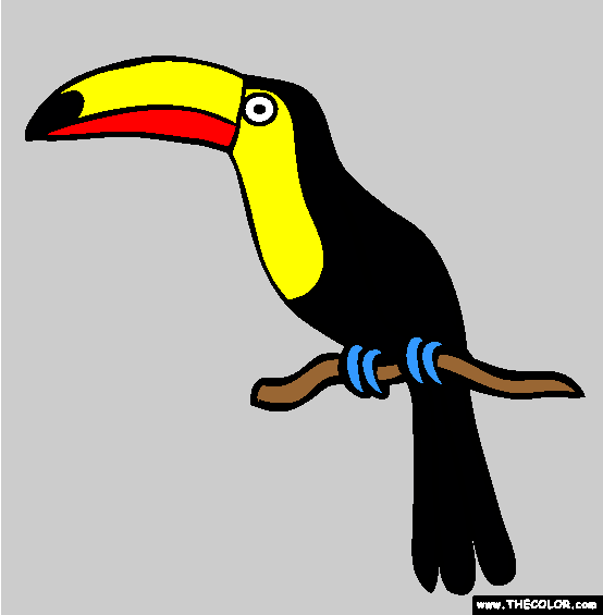 Toucan Coloring Page