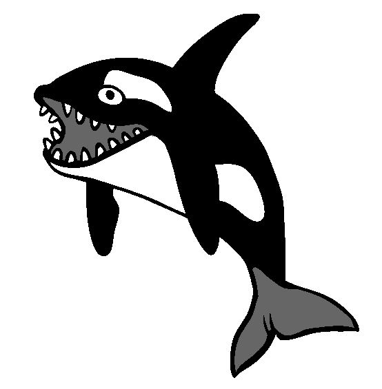 Killerwhale Coloring Page