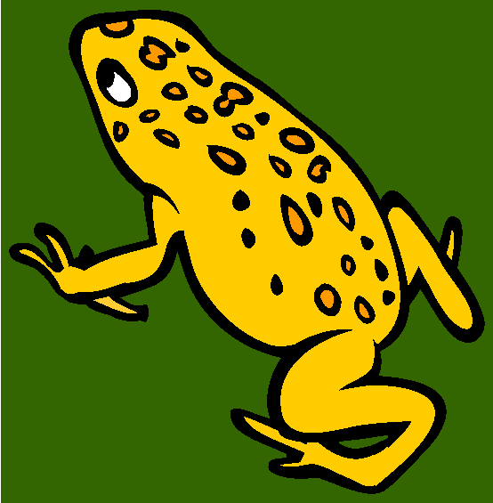Golden Poison Frog Coloring Page