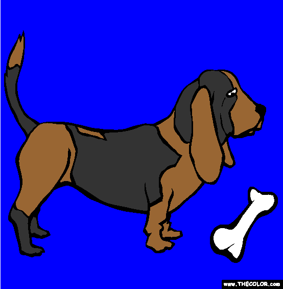 Basset Hound Coloring Page