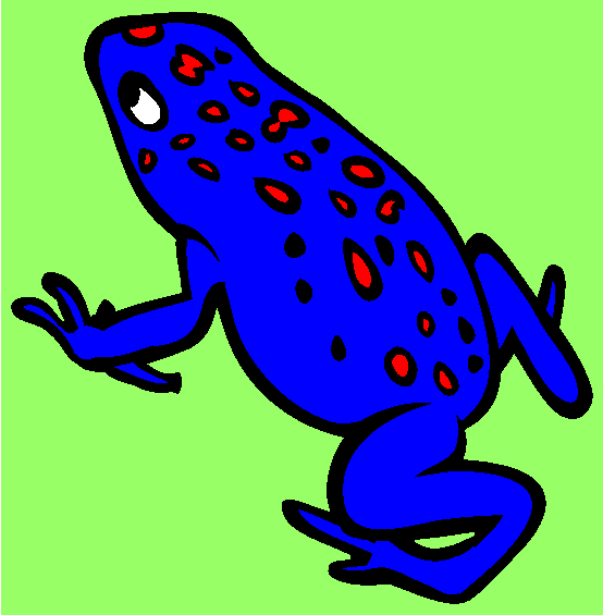 Golden Poison Frog Coloring Page