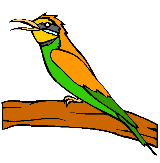 European Bee Eater Coloring Page