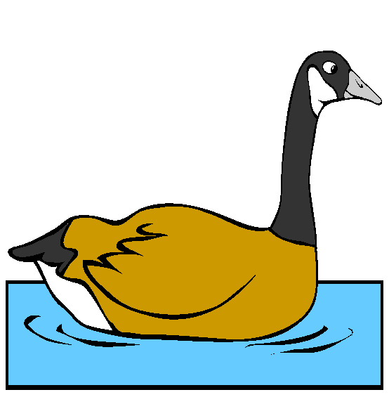Goose Swimming Coloring Page