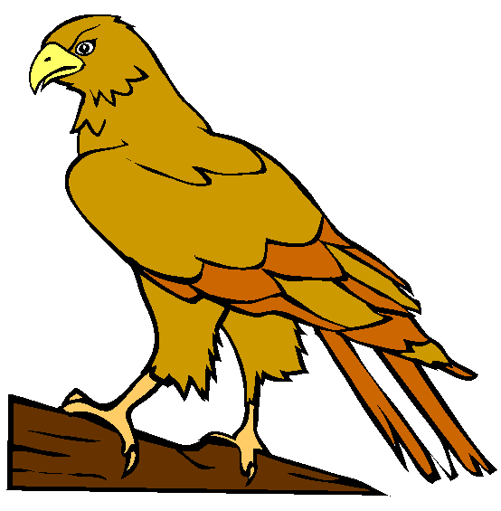 Perched Hawk Coloring Page