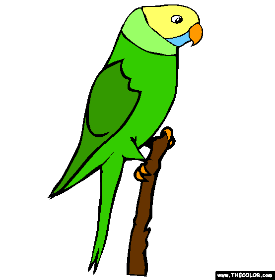 Parakeet Coloring Page