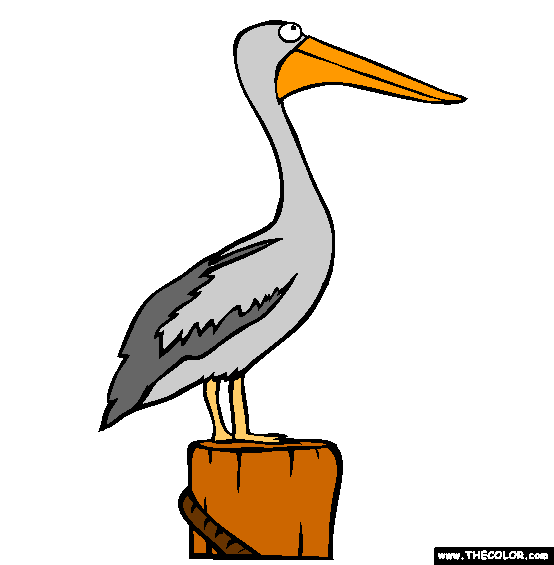 Perched Pelican Coloring Page