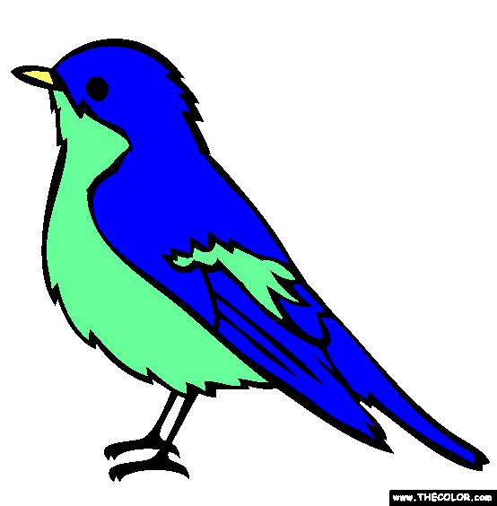 Pied Flycatcher Coloring Page