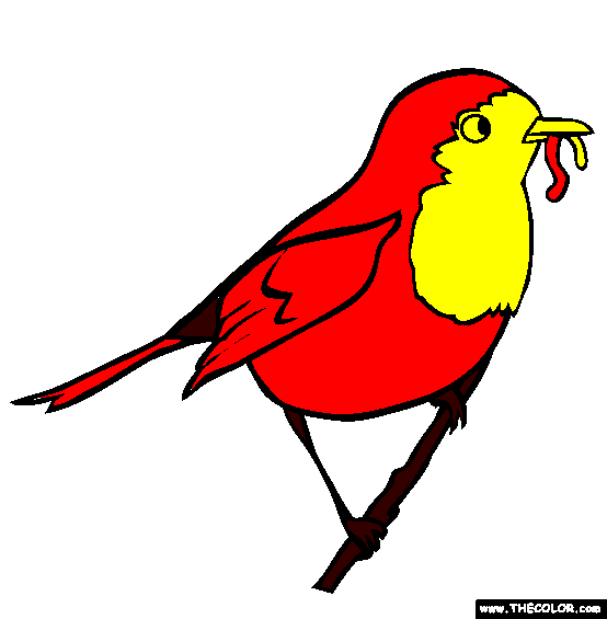 Robin Coloring Page