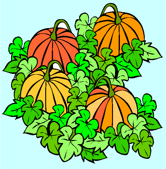 Pumpkin Patch Coloring Page