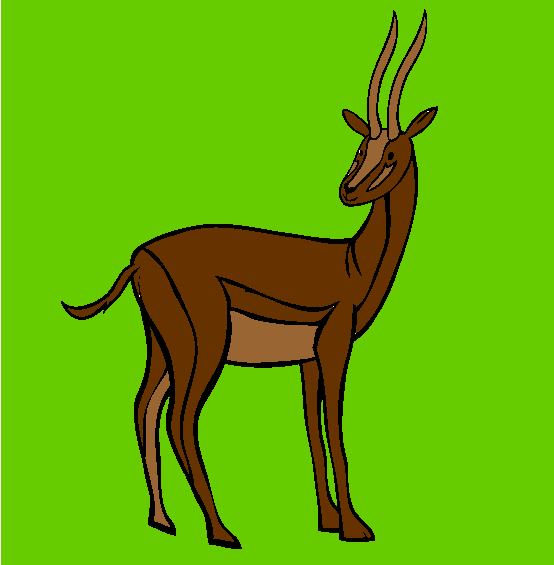 Antelope Coloring Page