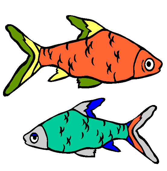 Bala Shark Coloring Page