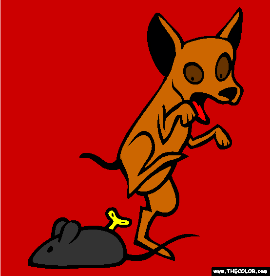 Chihuahua Coloring Page