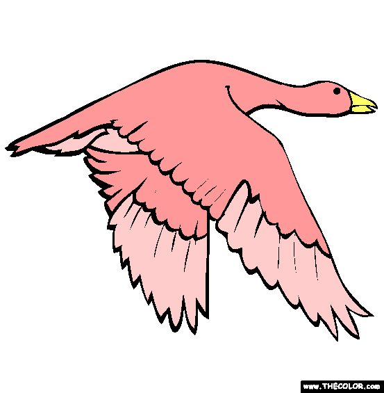 Snow Goose Coloring Page