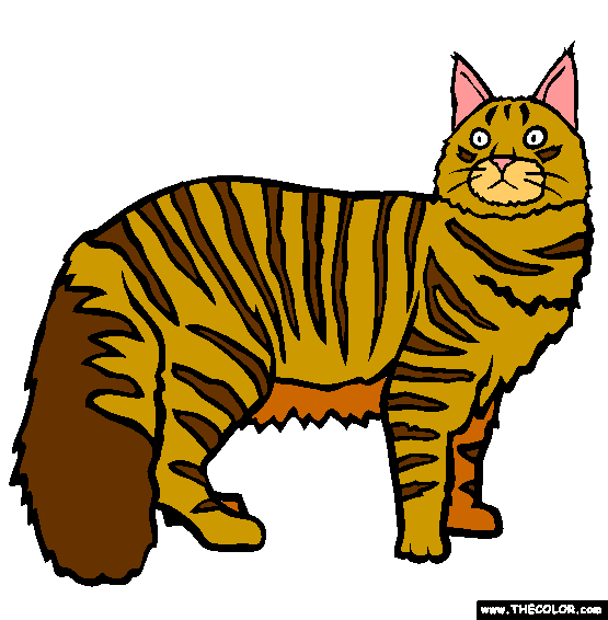 Maine Coon Cat Online Coloring Page