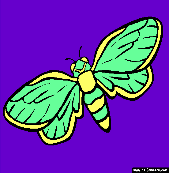 Cicada Coloring Page