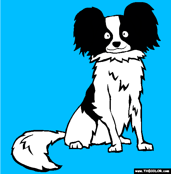 Papillon Coloring Page