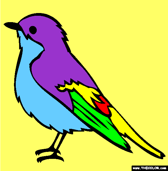 Pied Flycatcher Coloring Page
