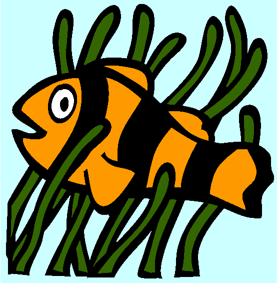 Clown Anemonefish Coloring Page