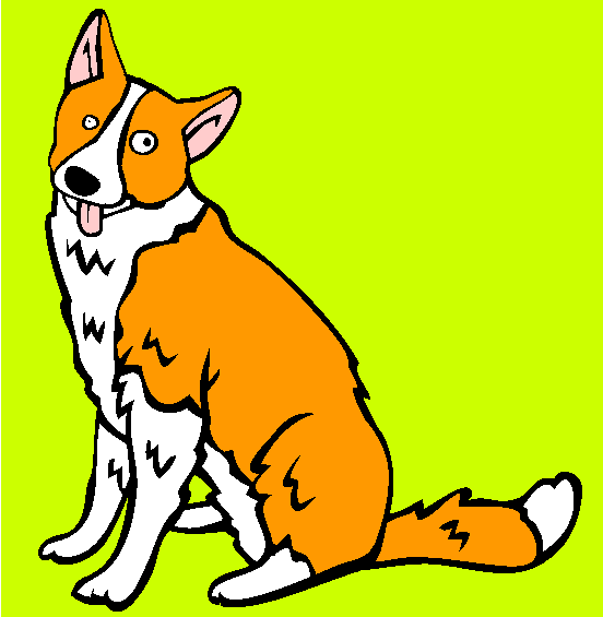 Karelian Bear Dog Coloring Page