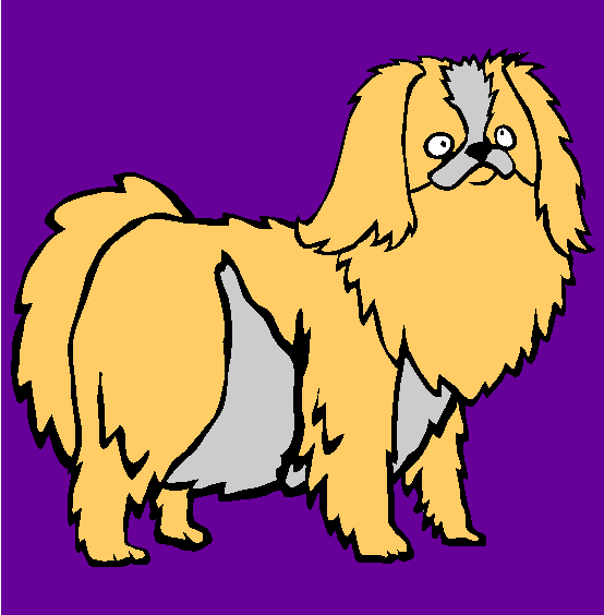 Japanese Chin Coloring Page