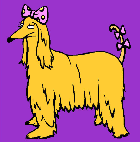 Afghan Hound Dog Coloring Page