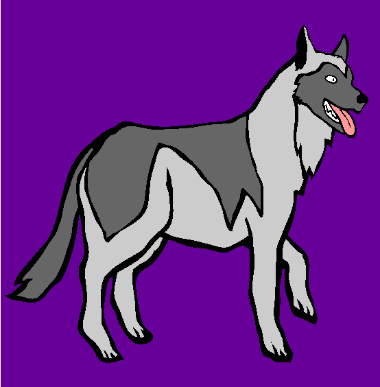 Siberian Husky Coloring Page