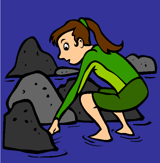 Tide Pooling Coloring Page