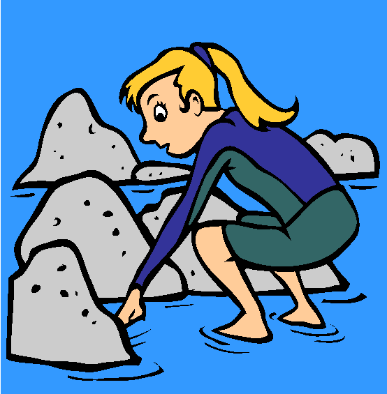 Tide Pooling Coloring Page