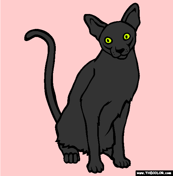 Singapura Breed Cat Online Coloring Page
