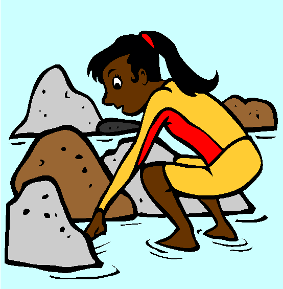 Tide Pooling Coloring Page
