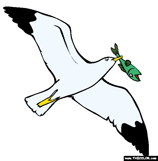 Flying Seagull Coloring Page