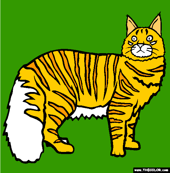 Maine Coon Cat Online Coloring Page