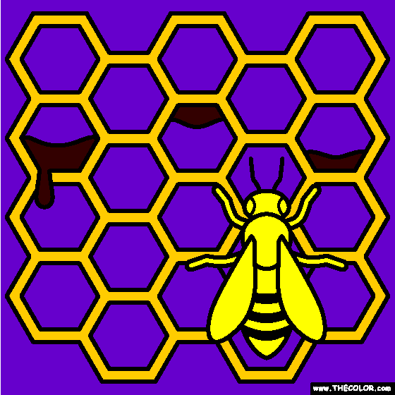 Honey Comb Coloring Page