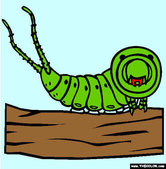 Puss Moth Catepillar Coloring Page