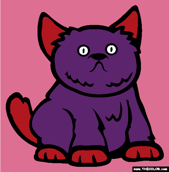 Exotic Shorthair Cat Online Coloring Page