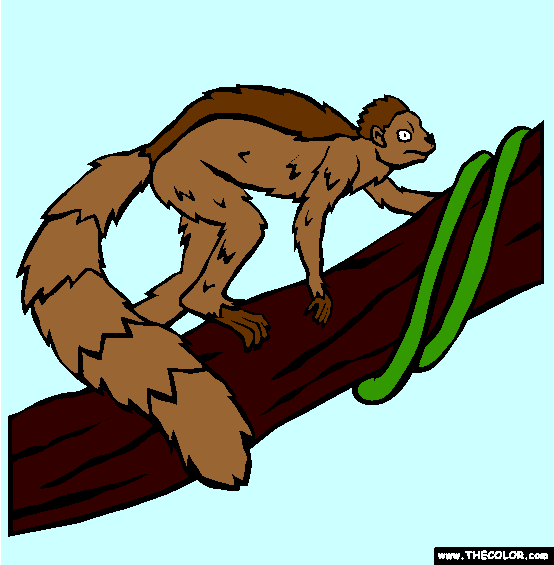 Smilodectes Coloring Page