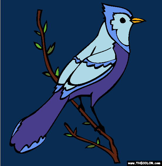 Blue Jay Coloring Page
