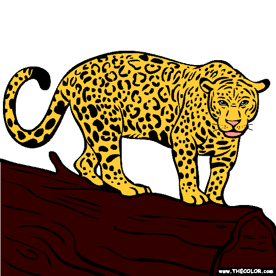 Jaguar Coloring Page