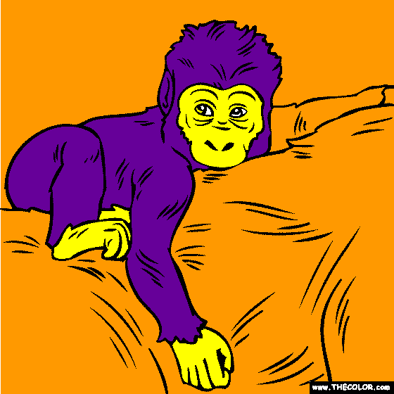Baby Gorilla coloring page | color a baby gorilla